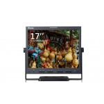 Ruige TL-S1700HD Desktop LCD Monitor 17-inch